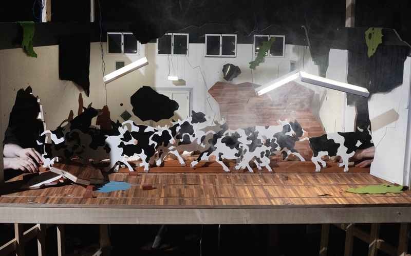 Fotograaf: Sanne Peper